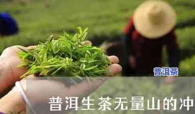 冲泡无量山普洱茶能放多久-冲泡无量山普洱茶能放多久啊