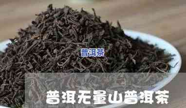 冲泡无量山普洱茶能放多久-冲泡无量山普洱茶能放多久啊