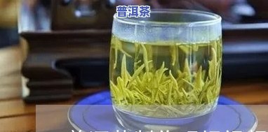 普洱茶芽孢的冲泡方法视频教程，新手必看！怎样冲泡美味的普洱茶芽孢？视频教程教你做