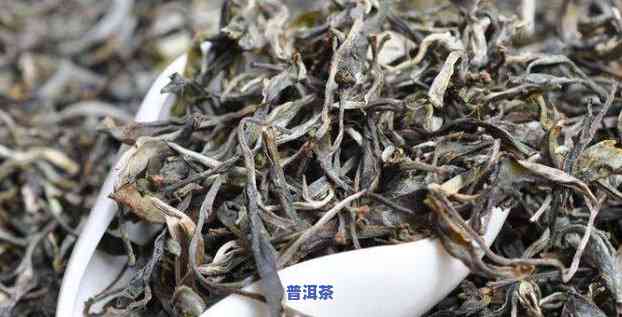 和冰岛齐名的普洱茶：种类与特点全解析