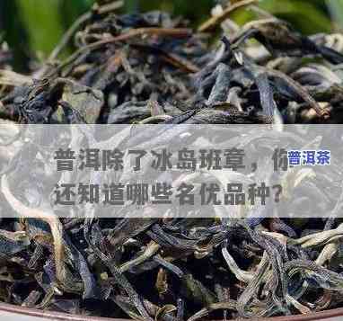 和冰岛齐名的普洱茶：种类与特点全解析