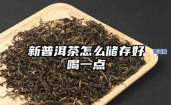 普洱茶的新茶怎么储存更好-普洱茶的新茶怎么储存更好呢