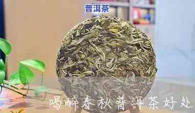 普洱茶醉春秋能长期保存吗-普洱茶醉春秋能长期保存吗有吗