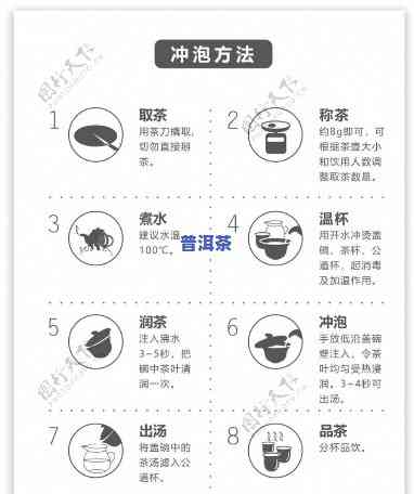 普洱茶用途全揭秘：种类、功效与冲泡方法图解