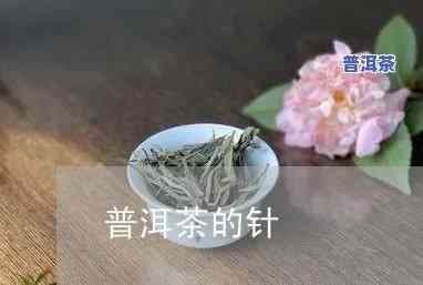 普洱茶的茶针采用方法及视频教程