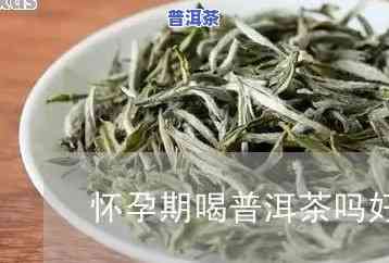 普洱茶能与菊花、枸杞同饮吗？对孕妇有作用吗？有何功效？