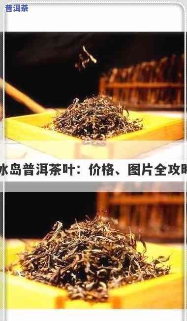 普洱冰岛属于哪种茶种？探讨其分类和特点