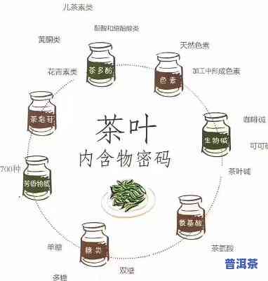 探究普洱茶茶包：里面是不是真的有茶叶？全图解