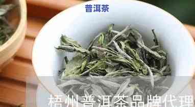 梧州普洱茶代理加盟电话及联系方法