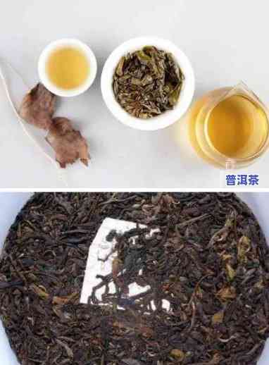 普洱茶哪年产的更好？口感、品质全方位解析