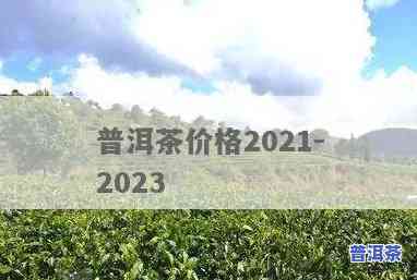 2023年普洱茶降价了吗-2023年普洱茶降价了吗