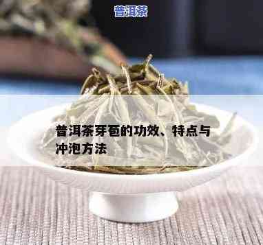 普洱茶芽头多好？对冲泡有作用吗？是越多越好吗？