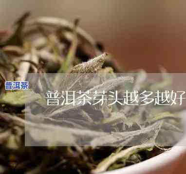 普洱茶熟茶芽头越多越好吗-普洱茶熟茶芽头越多越好吗为什么