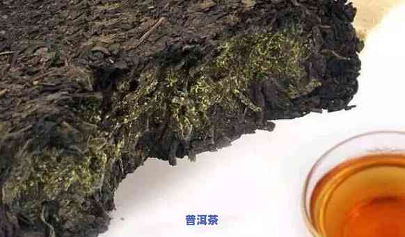 普洱茶一回生二回熟：从入门到精通的更佳饮用方法