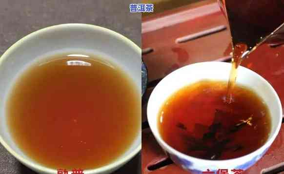 六堡茶与普洱熟茶口感一样，口感相似？探索六堡茶与普洱熟茶的异同