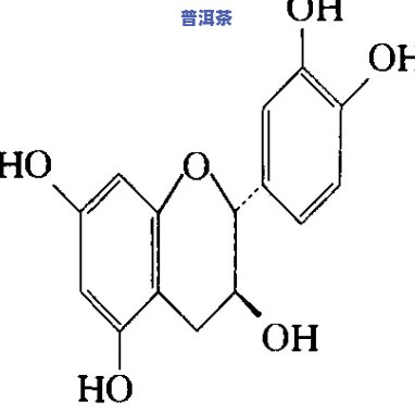 普洱茶素401系列-普洱茶儿茶素