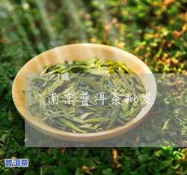 南京普洱茶怎么加盟-南京普洱茶怎么加盟代理