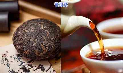 减肥喝哪种普洱茶好？全面解析不同种类的普洱茶对减肥效果的作用