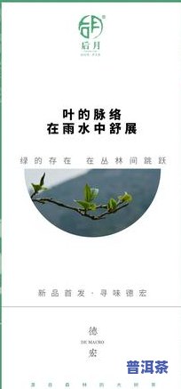 河边寨普洱茶价格表及图片，最新！河边寨普洱茶价格表及高清图片全览