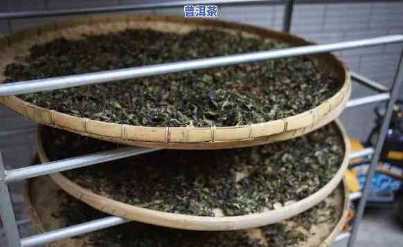 普洱茶发酵：可用温开水吗？多少度最适宜？