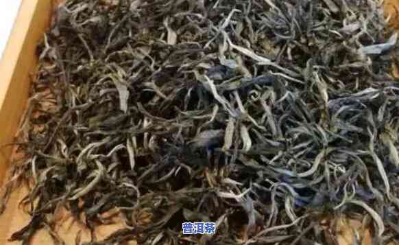 普洱茶保存多久散装-普洱茶保存多久散装更好