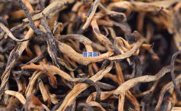 探究滇红茶茶叶形状：图片与特征分析