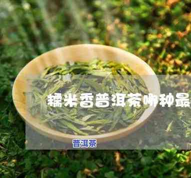 糯米香普洱茶哪个好闻？推荐几款口感佳的