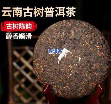 云南渤海老古树普洱茶熟茶-云南渤海普洱茶好吗