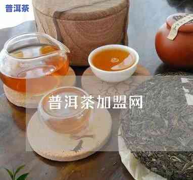 扬州普洱茶加盟-扬州普洱茶加盟电话