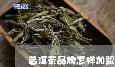 安顺知名普洱茶招商-安顺知名普洱茶招商电话