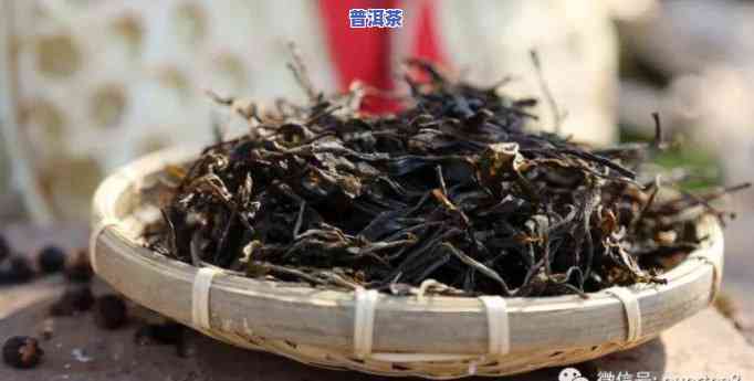 普洱茶多少鲜叶做一斤毛茶？作用口感的关键因素是什么？