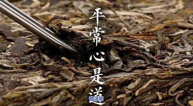 普洱茶的的功能特征-普洱茶的主要功能?