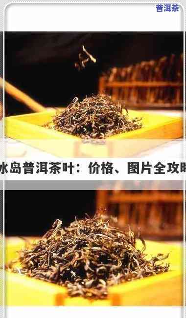 冰岛普洱茶叶，探索冰岛的特别风味：品尝普洱茶叶的奇妙旅程