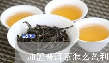 加盟普洱茶怎么盈利-加盟普洱茶怎么盈利的