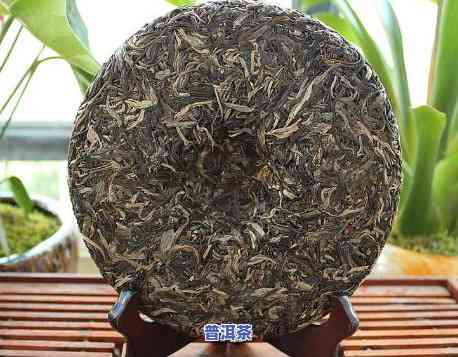 普洱冰岛茶生茶铭城-普洱冰岛茶生茶价格