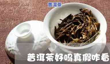 普洱茶的鉴别真假方法视频-普洱茶的鉴别真假方法视频讲解