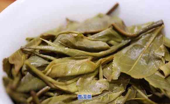 普洱茶中的秘境是什么意思啊，探寻普洱茶的秘境：揭开其神秘面纱