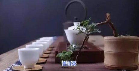 打开后怎样保存生普洱茶？视频教程与图片展示