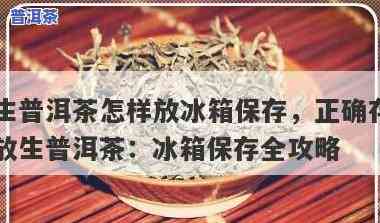 普洱茶可以放冰箱隔天喝吗？会坏吗？起因解析