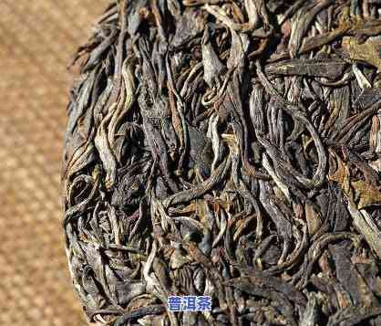 那卡普洱茶：高端品质还是价格虚高？口碑更好的是哪家？