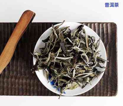 云南大叶种白茶：是普洱茶吗？查看图片与价格