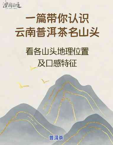 5分钟读懂普洱茶山：揭开神秘面纱，探索故事背后的意义