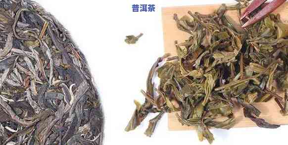 减肥喝生普洱还是喝熟普洱，减肥人士必看：生普洱茶 VS 熟普洱茶，哪个更适合你？