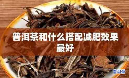 喝那种普洱茶减肥效果好吗-喝那种普洱茶减肥效果好吗女性