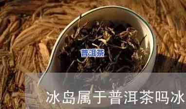 普洱茶冰岛是什么意思，探究普洱茶冰岛的含义与起源