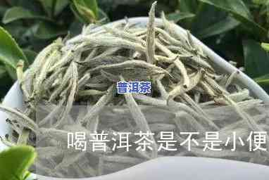 小便多跟喝普洱茶有关系吗-小便多跟喝普洱茶有关系吗女性