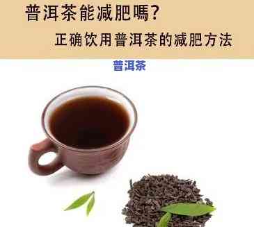 喝普洱茶越来越胖了正常吗-喝普洱茶越来越胖了正常吗女生