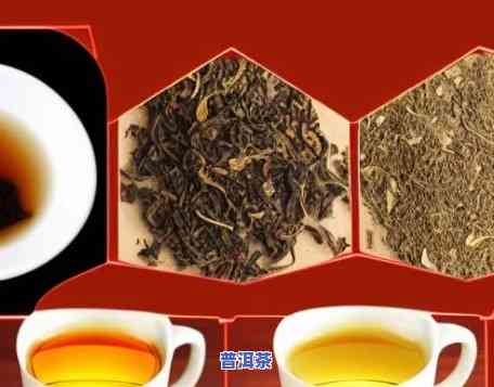 普洱茶哪种减肥效果更好？排行榜揭晓