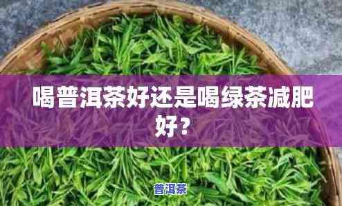 绿茶减脂还是普洱茶减脂好呢，绿茶 vs 普洱茶：哪种茶叶更适合减脂？