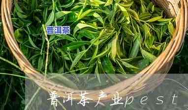 普洱茶pest分析-普洱茶pest分析法